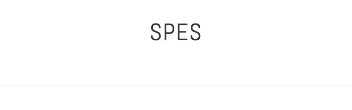 specs for garmento