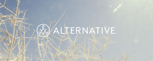 Alternative Apparel photo as seen in garmento