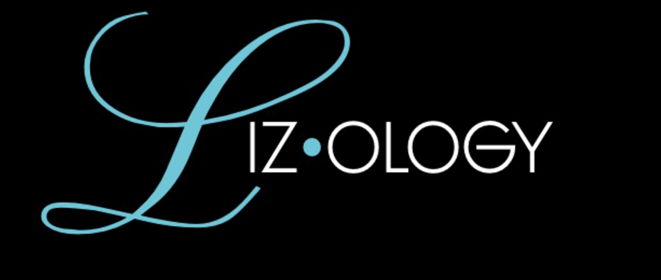 lizology boutique for garmento